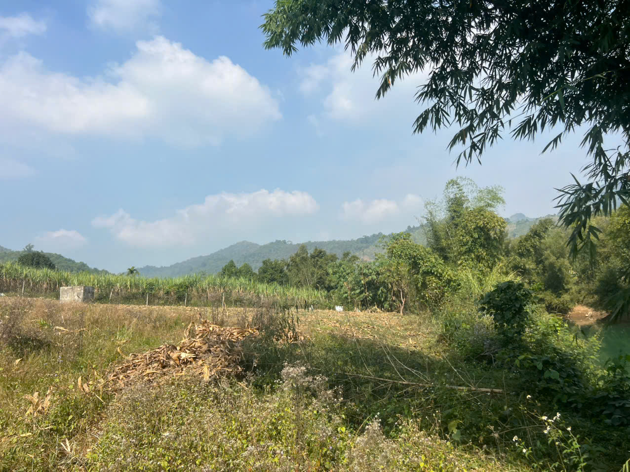 Bán 2561M có 1400M đất ở bám suối 65M_Bắc Phong Cao Phong HB_2,x tỷ - Ảnh 1